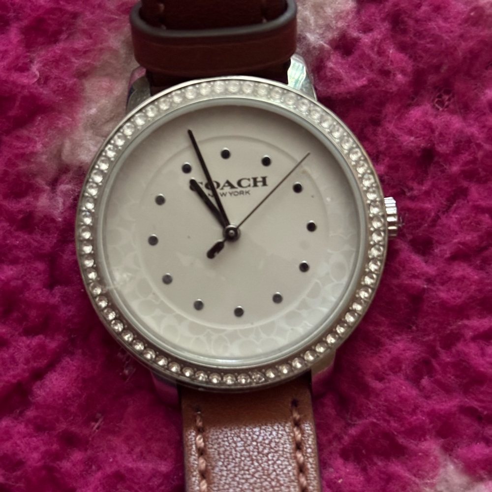 Coach rayden watch